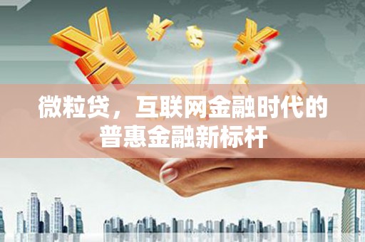 盐山微粒贷，互联网金融时代的普惠金融新标杆