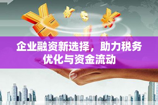 甘孜企业融资新选择，助力税务优化与资金流动