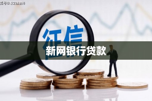 聂荣新网银行贷款