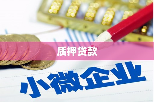 铜仁质押贷款