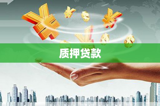 川汇质押贷款