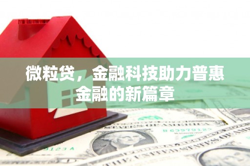 华阴微粒贷，金融科技助力普惠金融的新篇章
