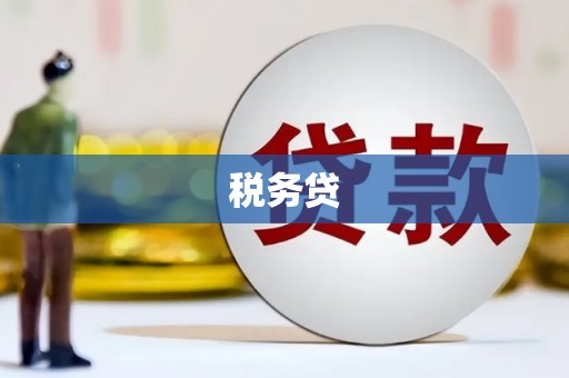 花山税务贷