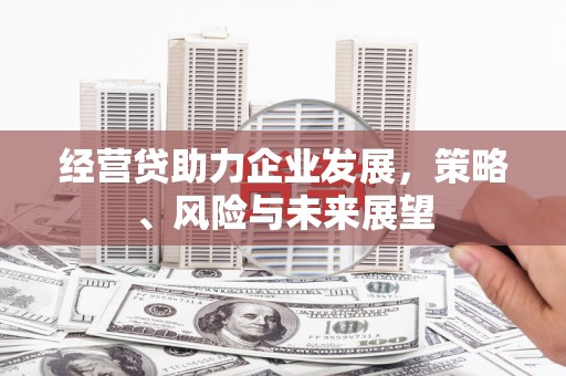 颍泉经营贷助力企业发展，策略、风险与未来展望