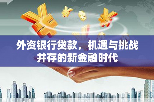 洪洞外资银行贷款，机遇与挑战并存的新金融时代