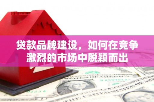 越西贷款品牌建设，如何在竞争激烈的市场中脱颖而出
