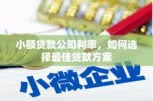 正宁小额贷款公司利率，如何选择最佳贷款方案