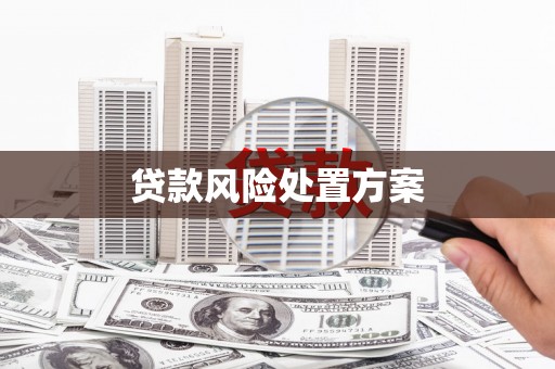 和县贷款风险处置方案
