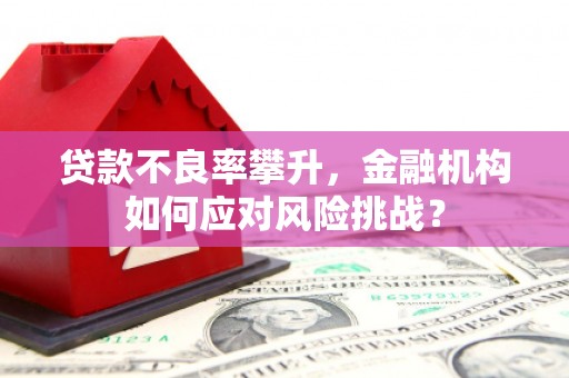 果洛贷款不良率攀升，金融机构如何应对风险挑战？