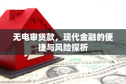府谷无电审贷款，现代金融的便捷与风险探析