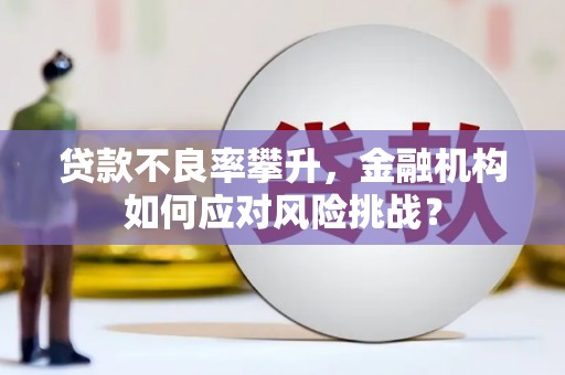 阜宁贷款不良率攀升，金融机构如何应对风险挑战？