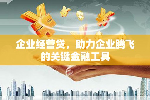 新园企业经营贷，助力企业腾飞的关键金融工具