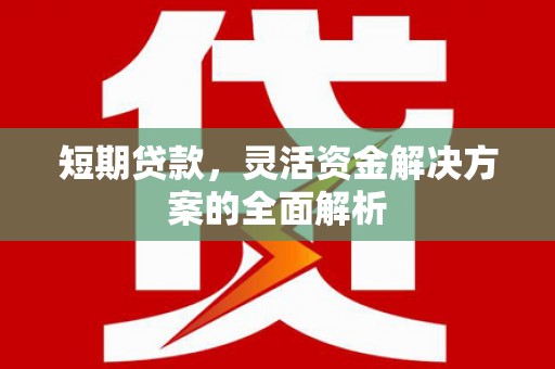 武鸣短期贷款，灵活资金解决方案的全面解析