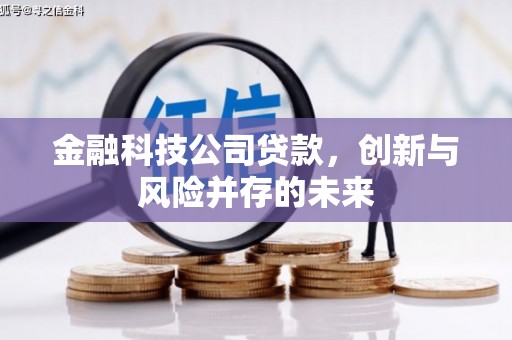 虾峙金融科技公司贷款，创新与风险并存的未来