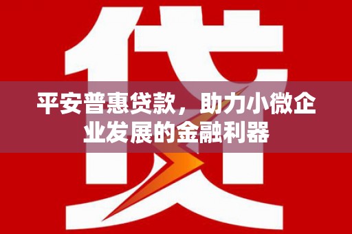 横县平安普惠贷款，助力小微企业发展的金融利器