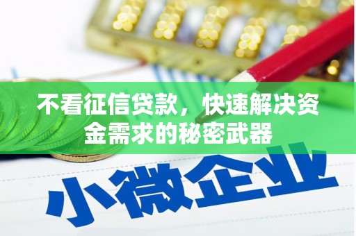 庄浪不看征信贷款，快速解决资金需求的秘密武器