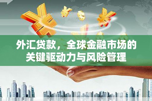 湖北外汇贷款，全球金融市场的关键驱动力与风险管理