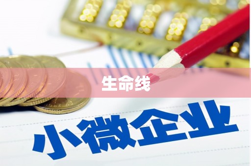 浑源生命线