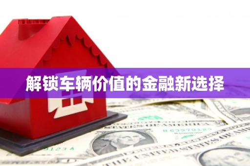 荔波解锁车辆价值的金融新选择