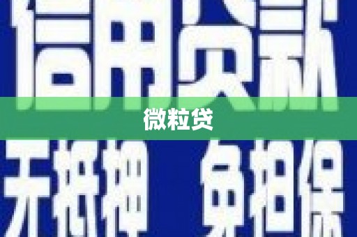 武侯微粒贷