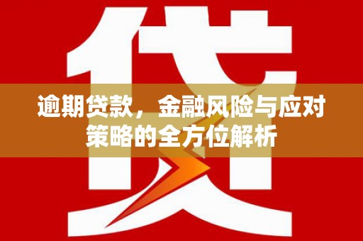 惠安逾期贷款，金融风险与应对策略的全方位解析