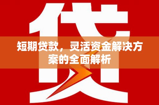 宁武短期贷款，灵活资金解决方案的全面解析