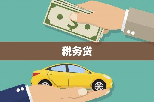 海原税务贷