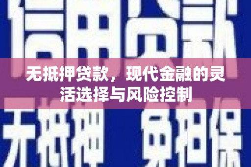 进贤无抵押贷款，现代金融的灵活选择与风险控制