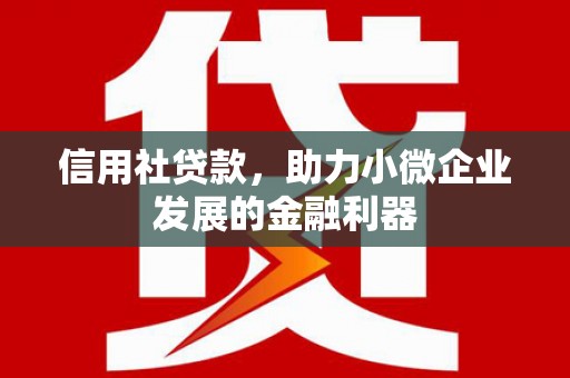 溆浦信用社贷款，助力小微企业发展的金融利器