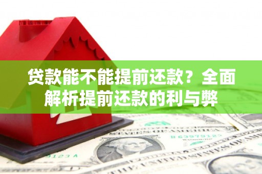 安南贷款能不能提前还款？全面解析提前还款的利与弊