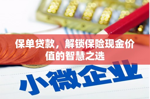 民和保单贷款，解锁保险现金价值的智慧之选