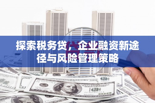 赫山探索税务贷，企业融资新途径与风险管理策略