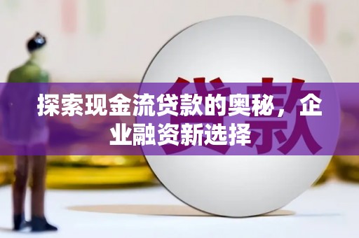林园探索现金流贷款的奥秘，企业融资新选择