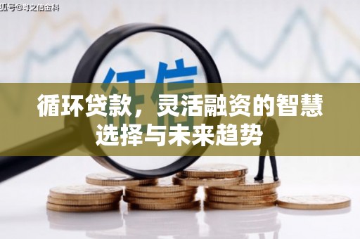 北仑循环贷款，灵活融资的智慧选择与未来趋势