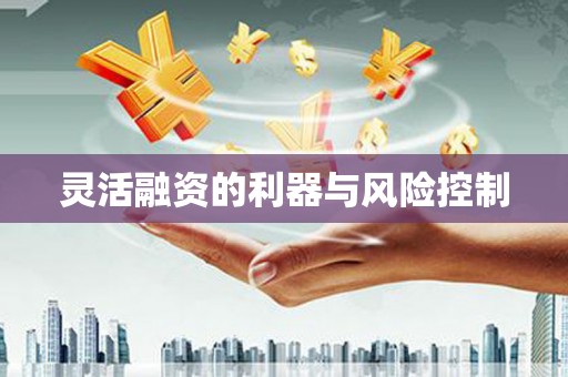 新林灵活融资的利器与风险控制