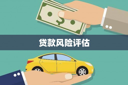 和平贷款风险评估