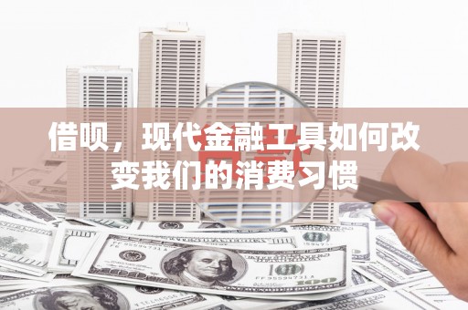 新林借呗，现代金融工具如何改变我们的消费习惯