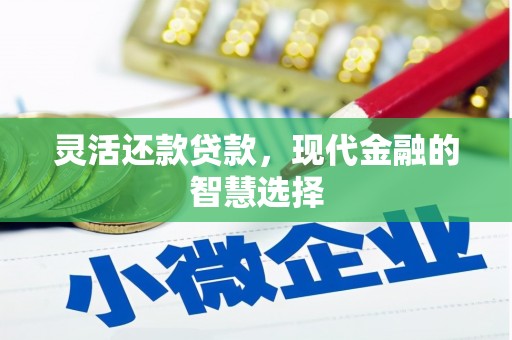 囊谦灵活还款贷款，现代金融的智慧选择