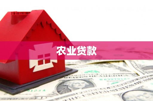 桐城农业贷款