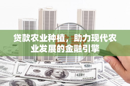 利津贷款农业种植，助力现代农业发展的金融引擎