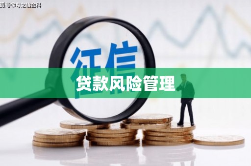 横栏贷款风险管理