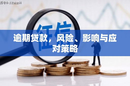 埤头逾期贷款，风险、影响与应对策略