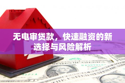 九龙城无电审贷款，快速融资的新选择与风险解析