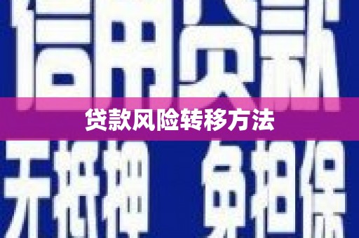 中国香港贷款风险转移方法