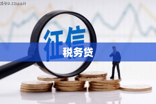 民和税务贷