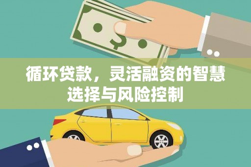 风顺堂区循环贷款，灵活融资的智慧选择与风险控制