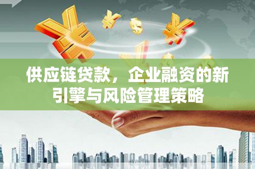 文圣供应链贷款，企业融资的新引擎与风险管理策略