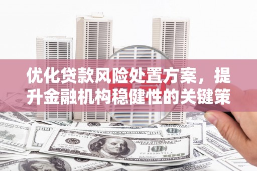 萨嘎优化贷款风险处置方案，提升金融机构稳健性的关键策略