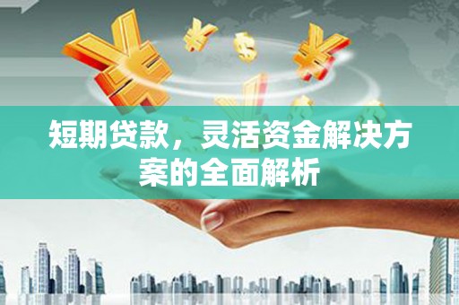 海丰短期贷款，灵活资金解决方案的全面解析