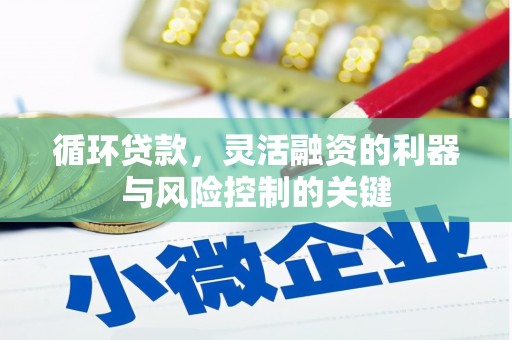 顺昌循环贷款，灵活融资的利器与风险控制的关键